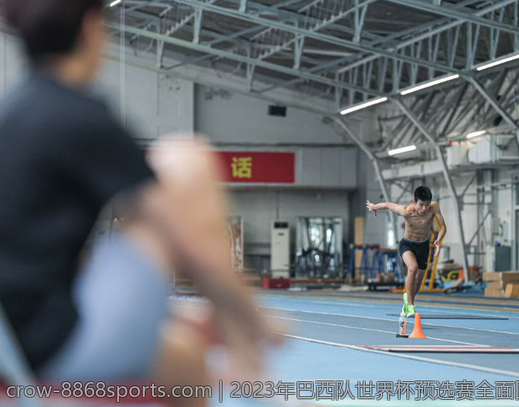 2023年巴西队世界杯预选赛全面回顾与分析